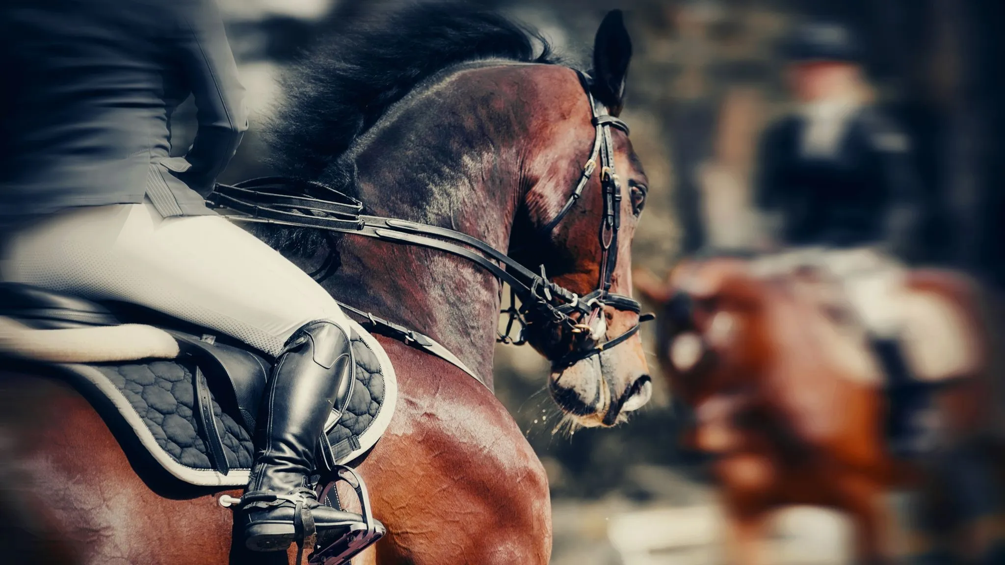 CVC Capital Partners adquiere ...